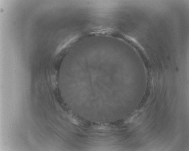 X0000061141399200512091922