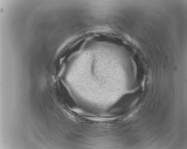 X0000061141400200512091922