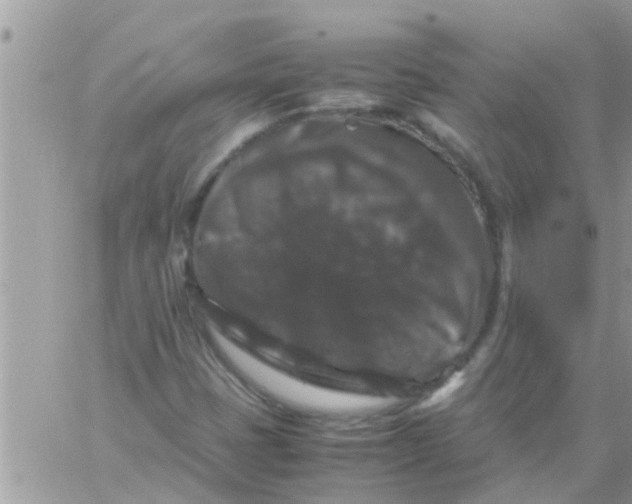 X0000061141401200512091922