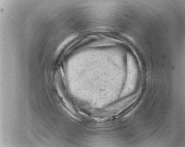 X0000061141402200512091922