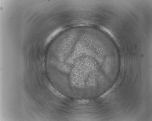 X0000061141403200512091922