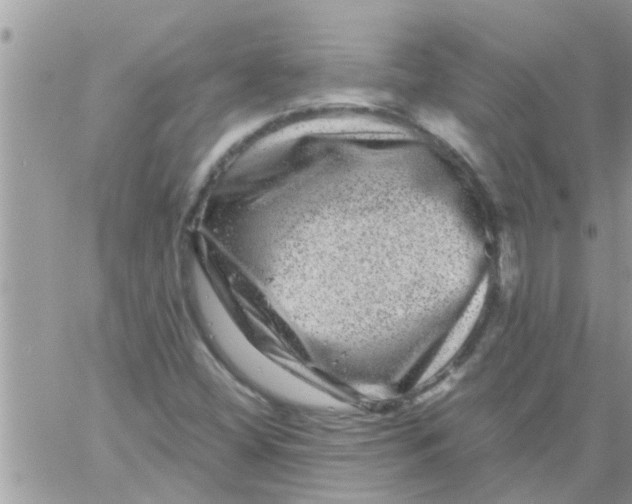 X0000061141404200512091922