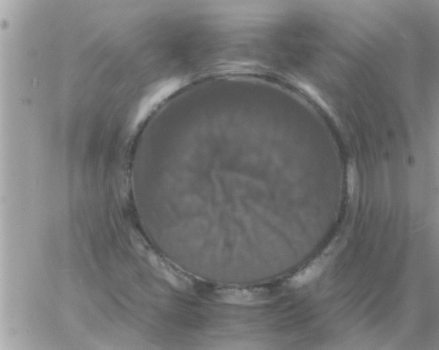 X0000061141405200512091922