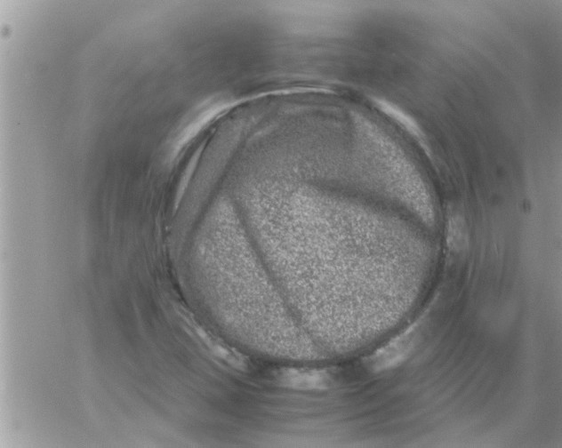 X0000061141407200512091922