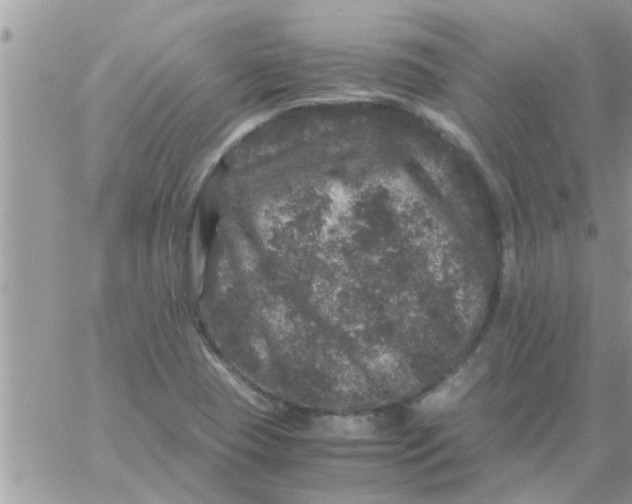 X0000061141409200512091922