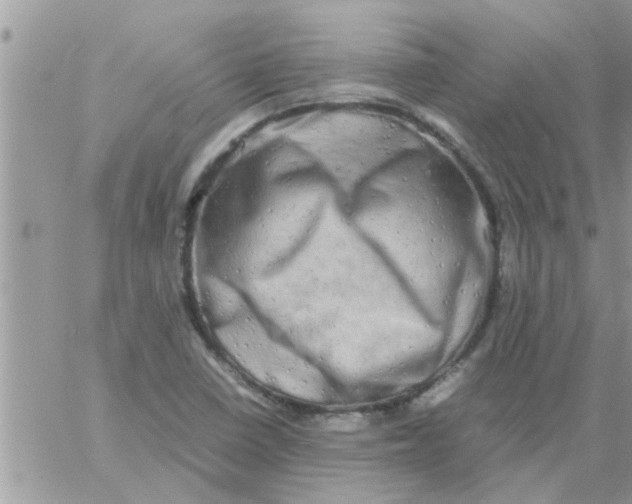 X0000061141410200512091922