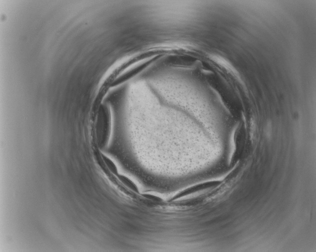 X0000061141412200512091922