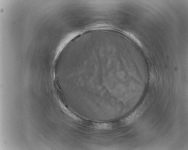 X0000061141413200512091922