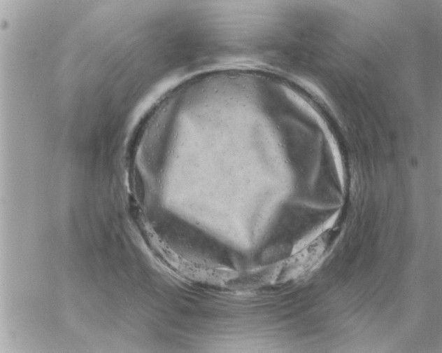 X0000061141414200512091922