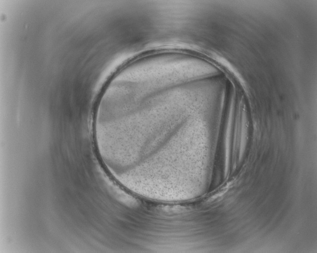 X0000061141416200512091922