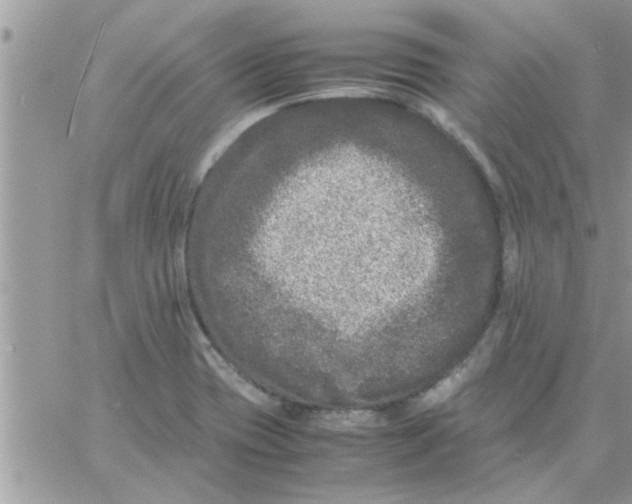 X0000061141417200512091922