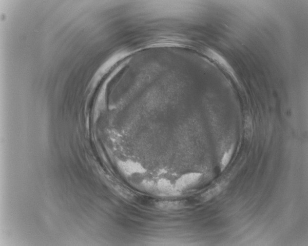 X0000061141419200512091922