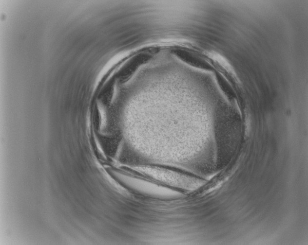 X0000061141420200512091922