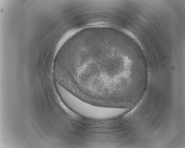 X0000061141421200512091922