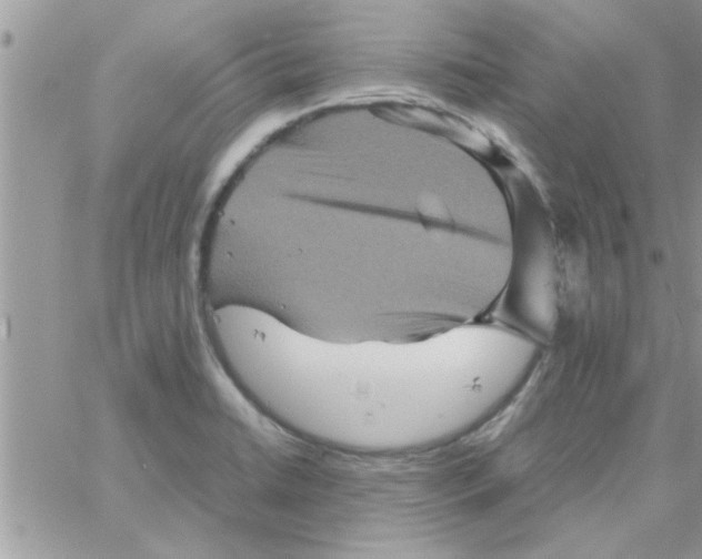 X0000061141422200512091922