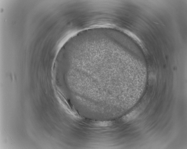 X0000061141423200512091922