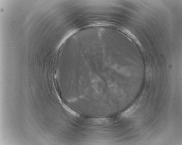 X0000061141425200512091922