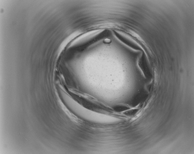 X0000061141426200512091922