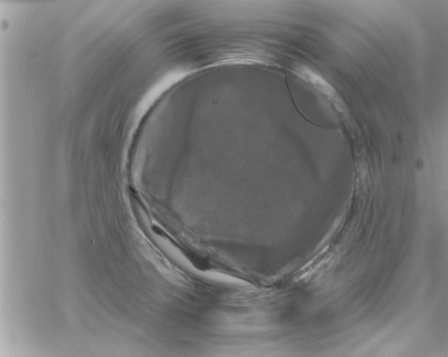 X0000061141427200512091922