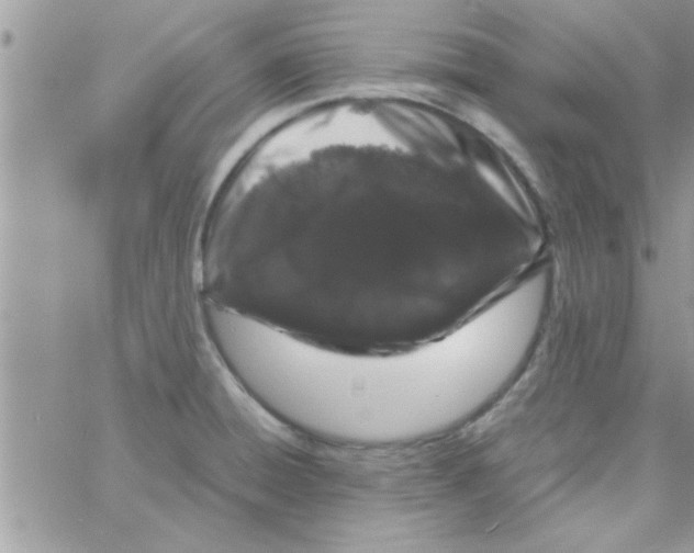 X0000061141428200512091922