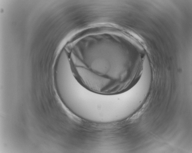 X0000061141430200512091922