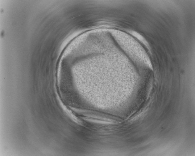 X0000061141431200512091922