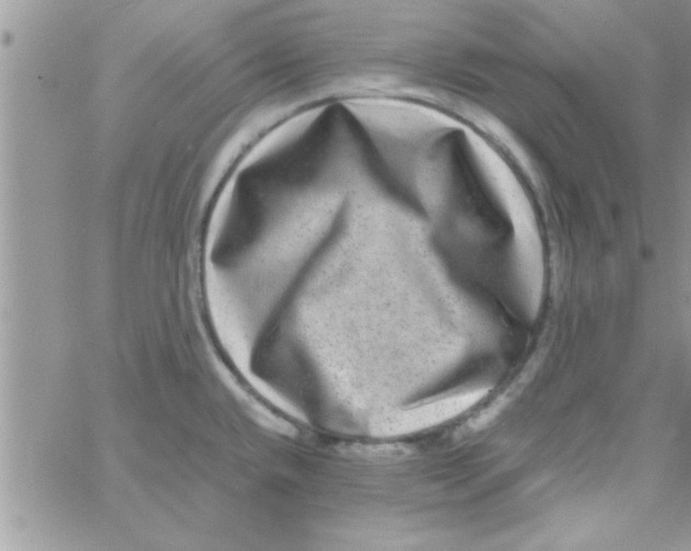 X0000061141432200512091922