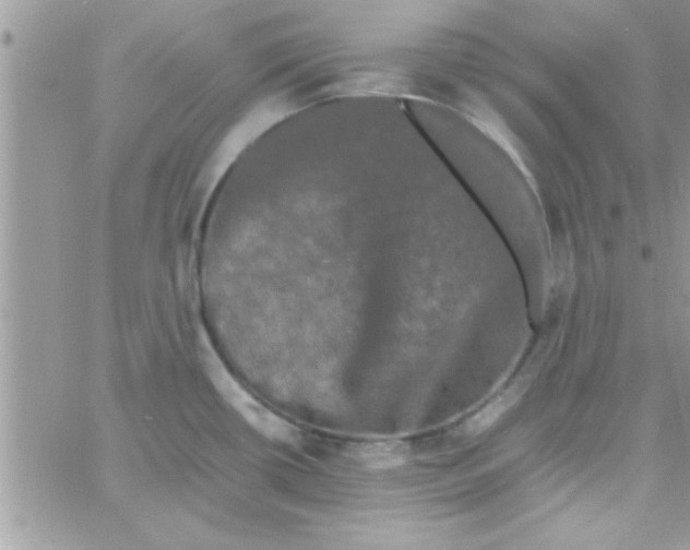 X0000061141434200512091922