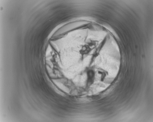 X0000061141436200512091922