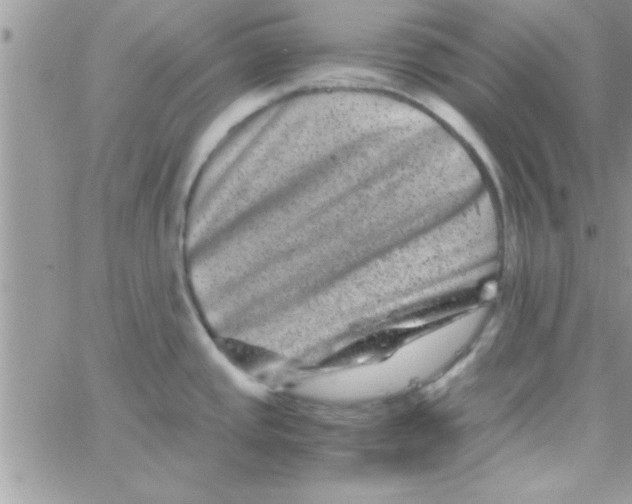 X0000061141437200512091922