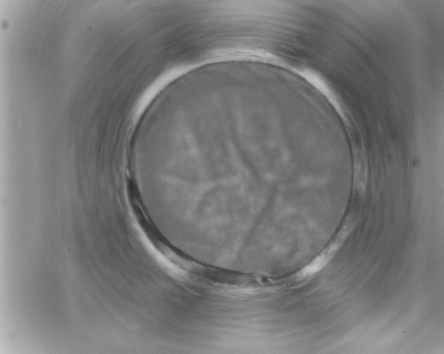 X0000061141438200512091923