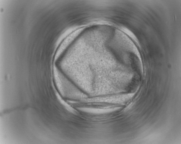 X0000061141439200512091923