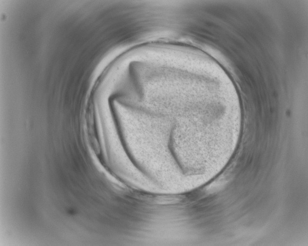 X0000061141440200512091923