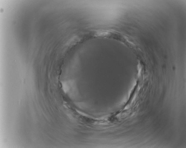 X0000061141441200512091922