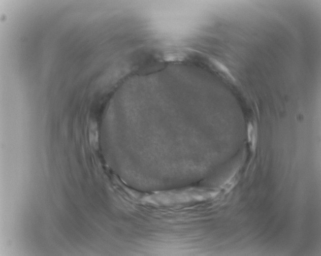 X0000061141443200512091922