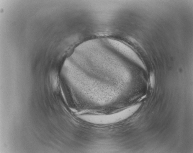 X0000061141444200512091922