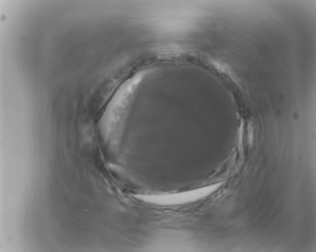 X0000061141445200512091922