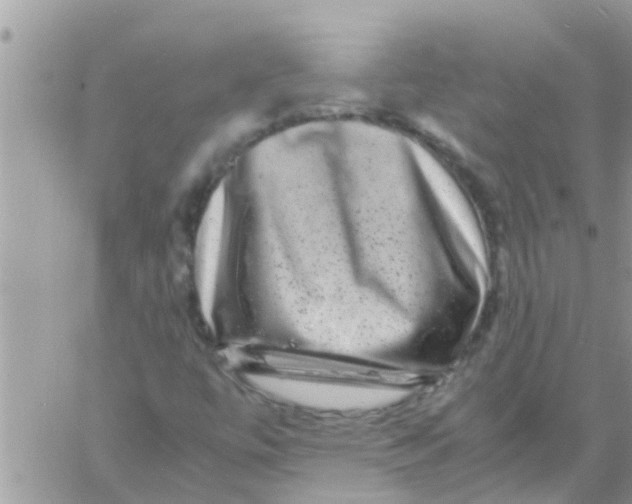 X0000061141447200512091922