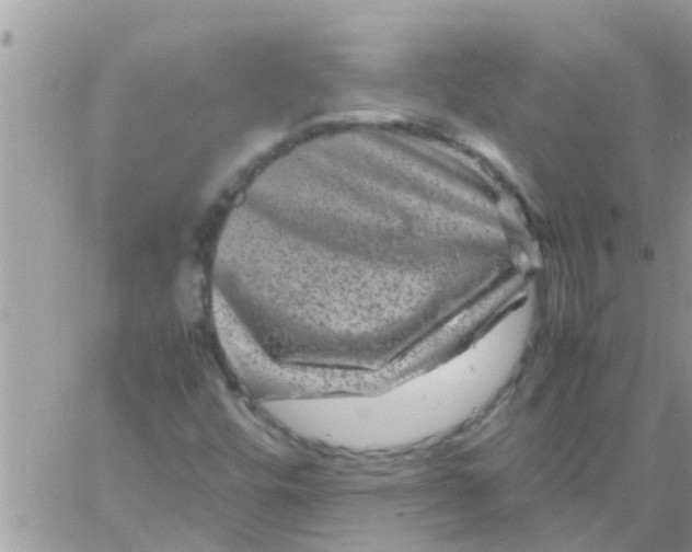 X0000061141448200512091922