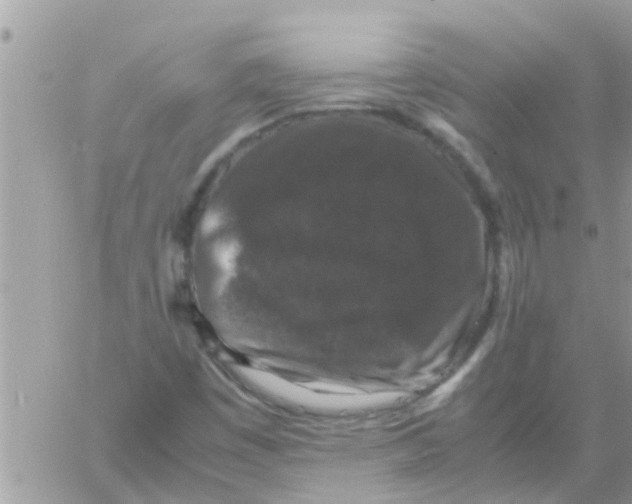 X0000061141449200512091922