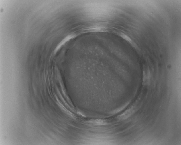 X0000061141450200512091922