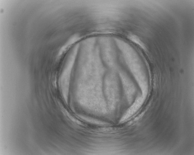 X0000061141451200512091922