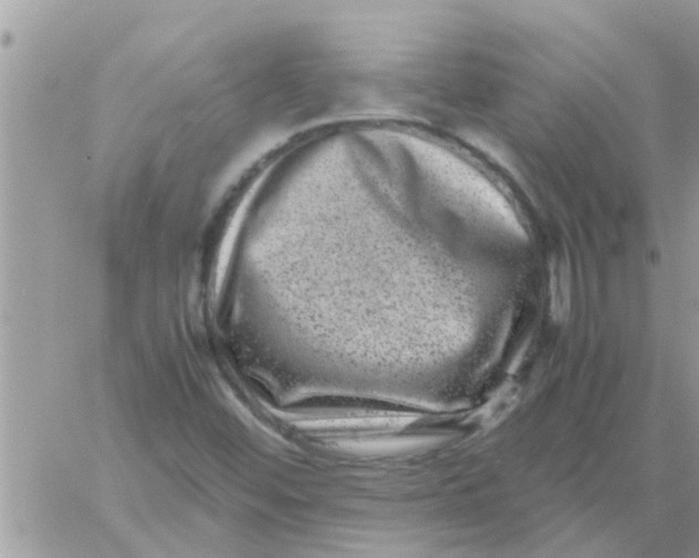 X0000061141452200512091922