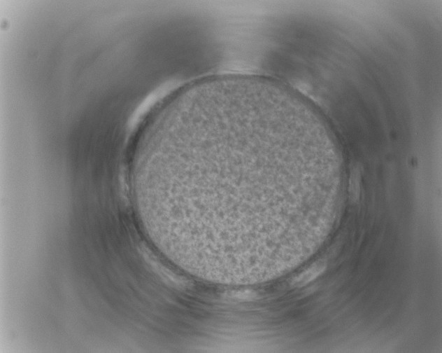 X0000061141454200512091922