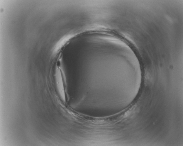 X0000061141455200512091922