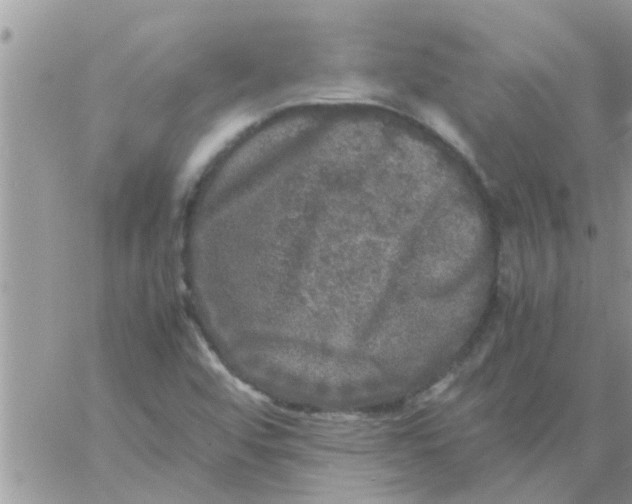 X0000061141456200512091922