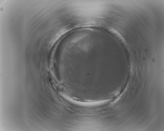 X0000061141457200512091921