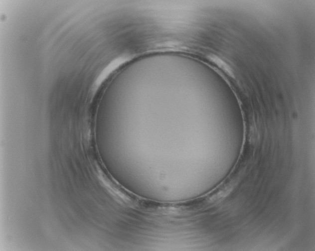 X0000061141458200512091921