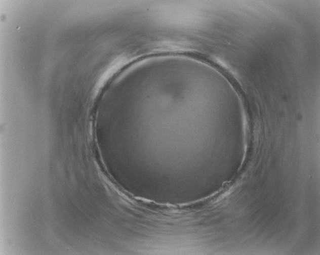 X0000061141459200512091921