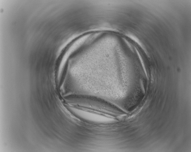 X0000061141460200512091921